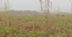 2 Hectares of land in Asaba for sale