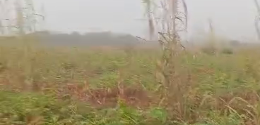 2 Hectares of land in Asaba for sale
